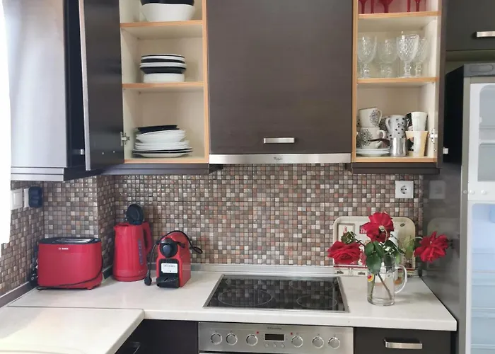 Purple_rose_apartment Case de vacanță